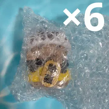 원피스 냥피스냥! 마네키네코 로