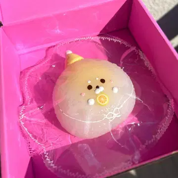 물범 만주 스퀴즈