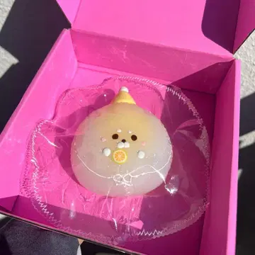 가격 인하 중 물범 만주 스퀴즈