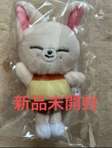 Stray Kids 스키즈 폭시.니 아이엔 백참