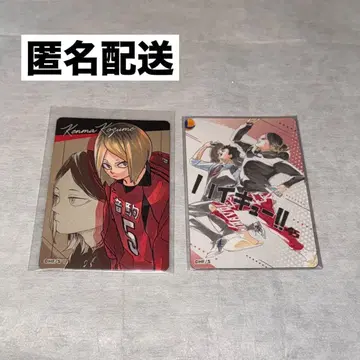 하이큐 하이큐전 마그넷 스티커 코즈메 켄마 쿠로오 테츠로 고양이 부품