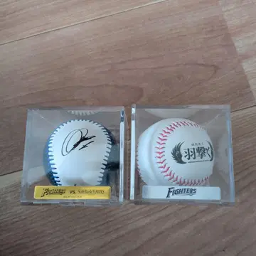 파이터즈 사인 포함 볼 2020년 대 소프트뱅크 2개 세트