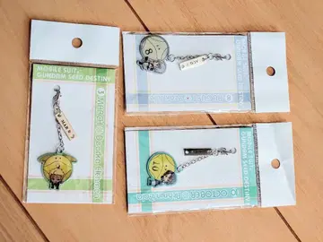 [ 기동전사 건담 SEED DESTINY ] 벌스데이 액세서리