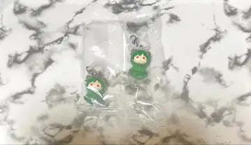 시쿠포니 메지루시 액세서리 스치