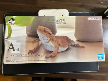 파충류 & 양서류 ~Tiny Friends~ 제일복권 A상 비어디드래곤