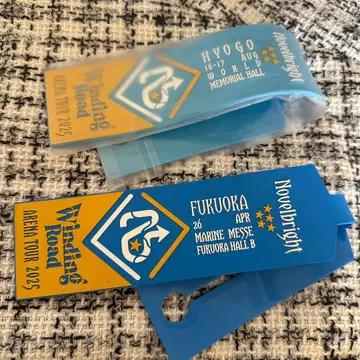 Winding Road 아레나 투어 2025