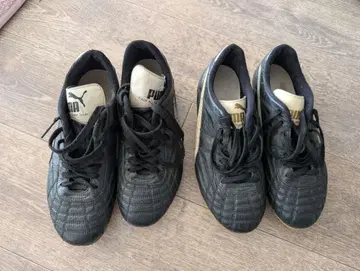 Puma 축구화 스파이크 파라메히코