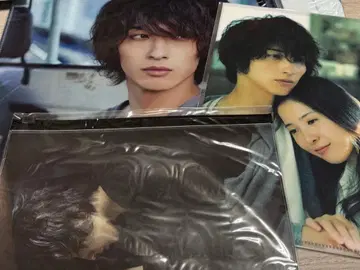 요코하마 류세이 클리어 파일 세트