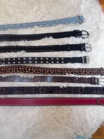 벨트 묶음 판매