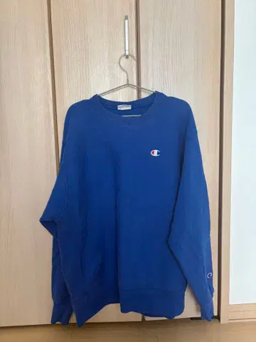 챔피온 파랑 리버스 위브