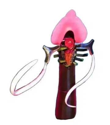 카이요도 에반게리온 피규어 [ 사도 샤무시엘 ] 미사용품 새상품급