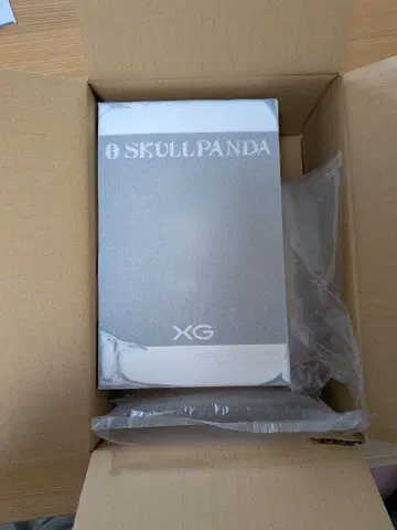 SKULLPANDA 스컬팬더XG 일본 한정판 POPMART