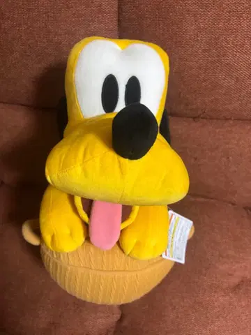 플루토 아부즈 바자르