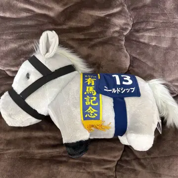 서러브레드 컬렉션 골드십