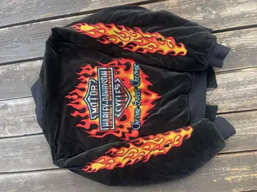 Harley-Davidson 벨로아 스카잔