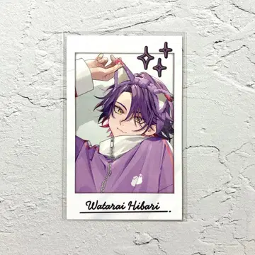 VOLTACTION 와타라이 히바리 Pajama Party! 폴라로이드