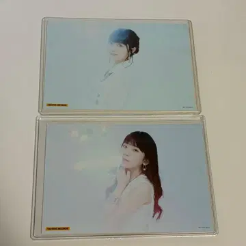 Little Glee Monster 포스터