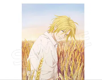 애쉬링크스 포스터 미개봉