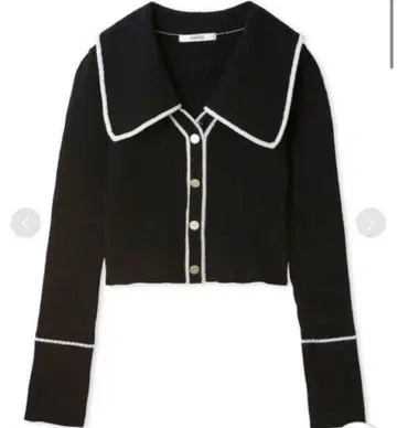 SNIDEL 빅 칼라 크롭 니트 풀오버