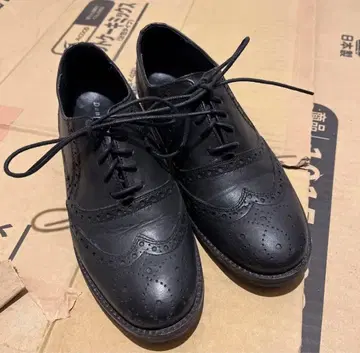 [새상품급] 다니엘라 모리 윙팁 레이스업 가죽 신발