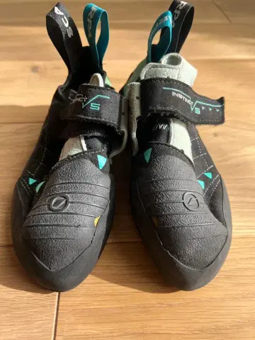 인스팅트 vs 37 wmn