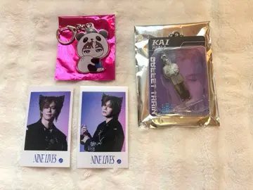 초특급 카이 미니 사진 REAL? 지역 한정 키링 블리스터 키링