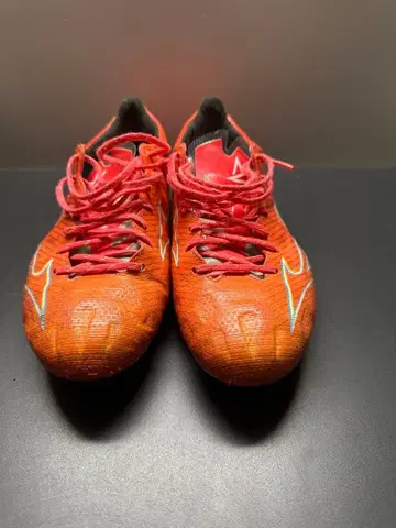 미즈노 알파 JAPAN