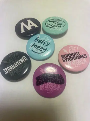 레이디클 캔뱃지