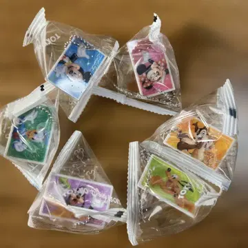 도쿄 디즈니랜드 아크릴 키링 6개 세트