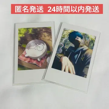 Crazy Raccoon CR 셀피 카드 vanilla 재스퍼