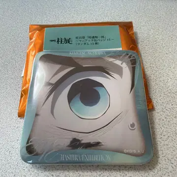 귀멸의 칼날 기둥전 토키토 무이치로 매니악 캔뱃지