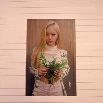 f(x) 크리스탈 수정 트레이딩 카드 Red light