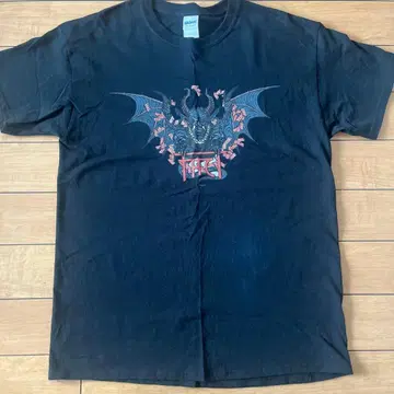 FACT T셔츠 GILDAN L사이즈 RIZE SHADOWS 팩트