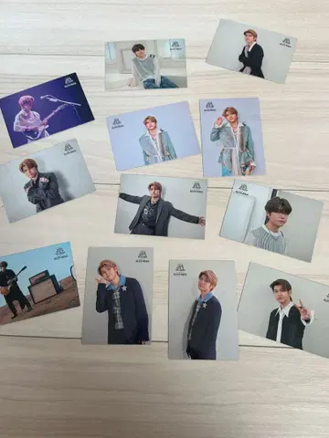 Mrs. GREEN APPLE 와카이 히로토 포토 카드 젠진 12장 세트