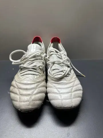 모렐리아 네오 4 JAPAN