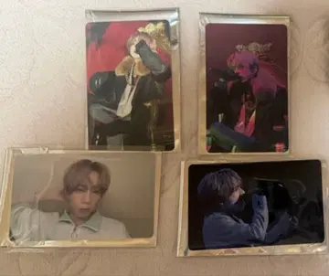 우라타누키 포토 카드 Update