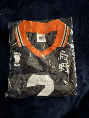 하이큐 10주년 기념 공식 카라스노 유니폼 스가와라 코시 XL