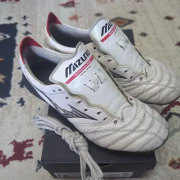 모렐리아 네오 4 JAPAN