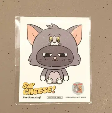 BOYNEXTDOOR 톰 제리 태산 오프라인 이벤트 한정판 스티커