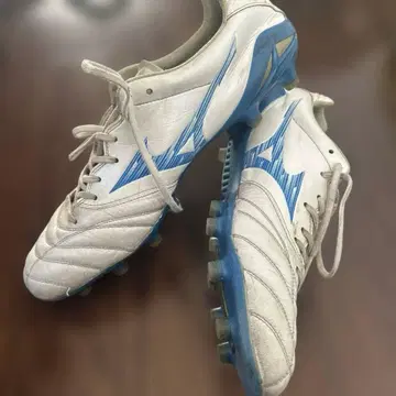 모나르시다 네오 3