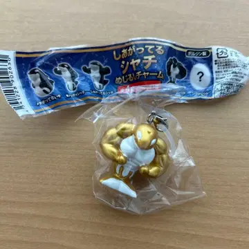 고베 스마 월드 완성된 범고래 메지루시 참 시크릿