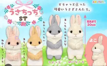 우사치치 ST 봉제 인형 20cm 그레이