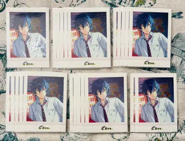 앙스타 파샤코레 ver.4 금박 준