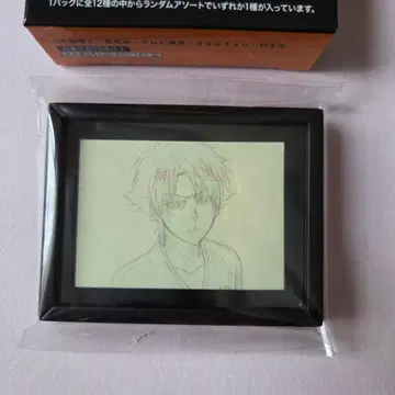 BLEACH 미니 액자 컬렉션 원화 히즈카야 토시로