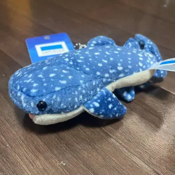 오키나와 추라우미 수족관 징베이 상어 키링