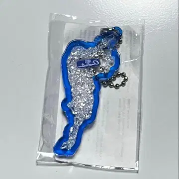 BIWAKO 아크릴 키링 시가 레이크스