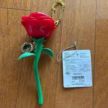 디즈니 빛나는 것 미녀와 야수