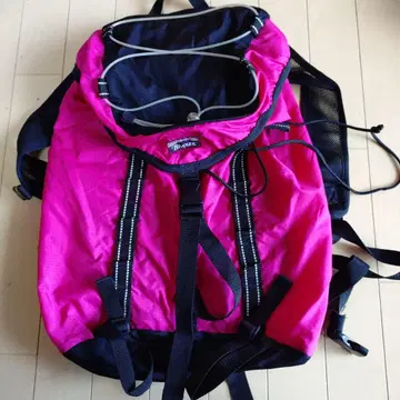 비바크 핑크 백팩