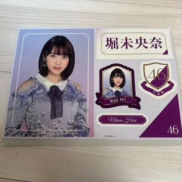 노기자카46 호리 미오나 브로마이드 사카미치 시리즈 스티커상
