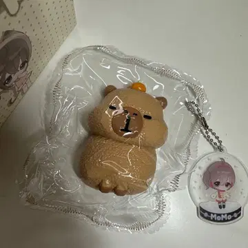 MoMo 스퀴즈 애니멀 시리즈 카피바라